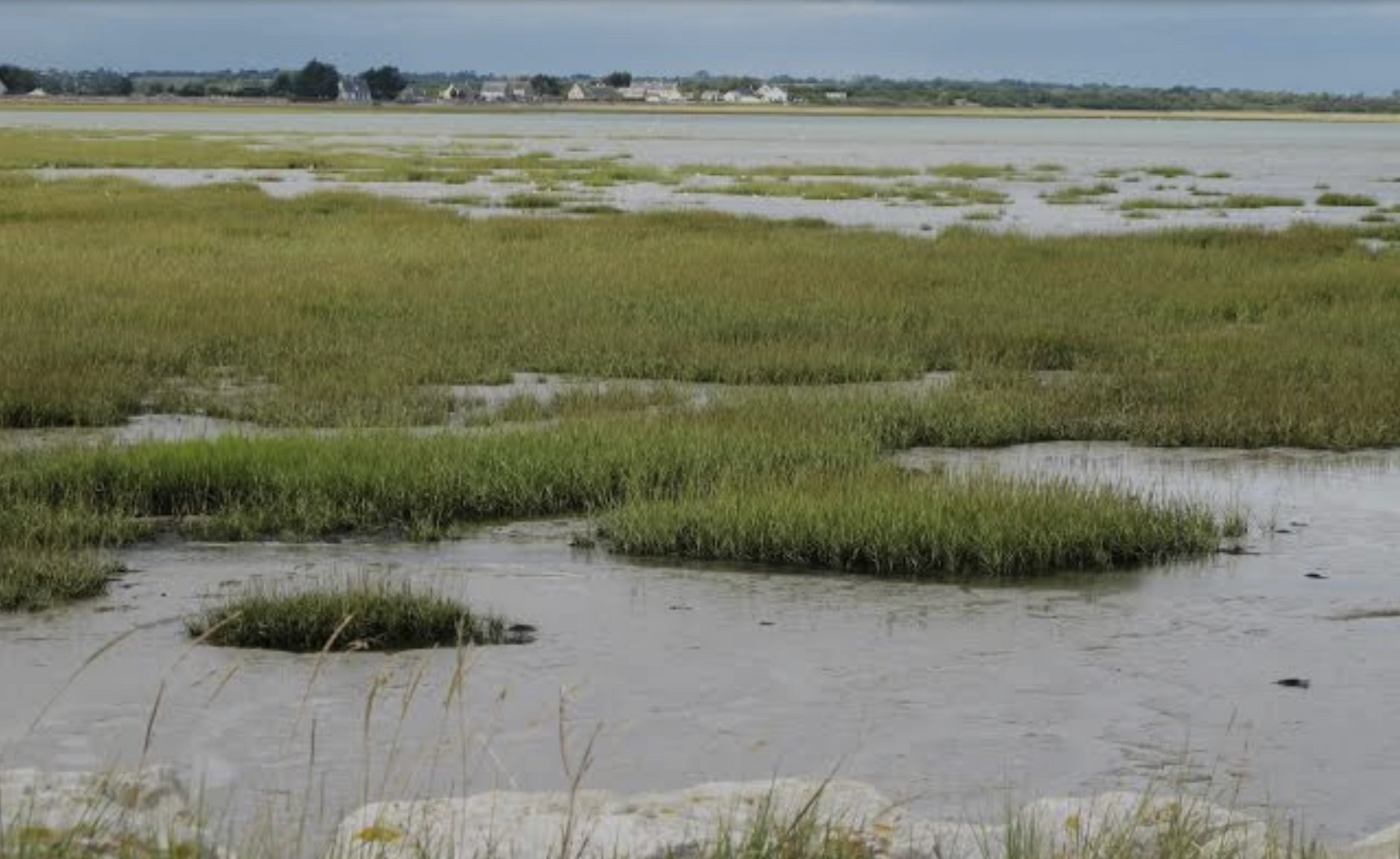 De la terre à la mer, le best of du Bessin
